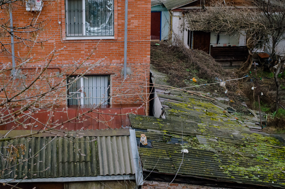 фото краснодар