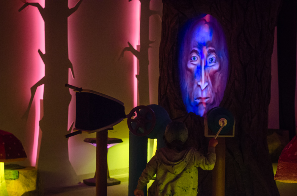 галерея лес