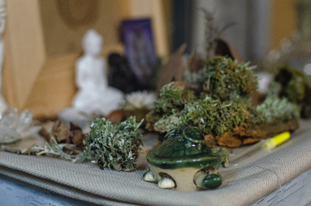 гуслица отзывы