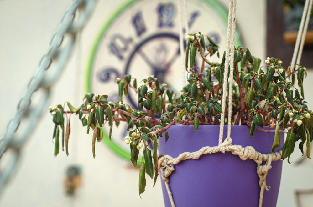 гуслица творческая