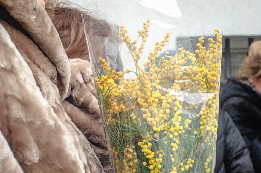 маргарита +с мимозами