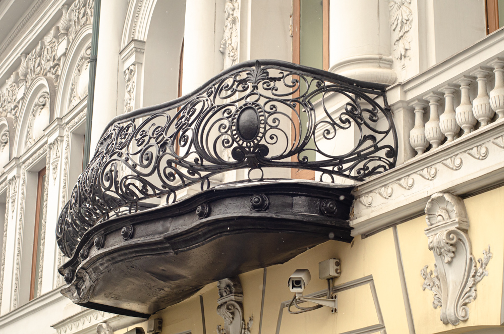 собачье сердце