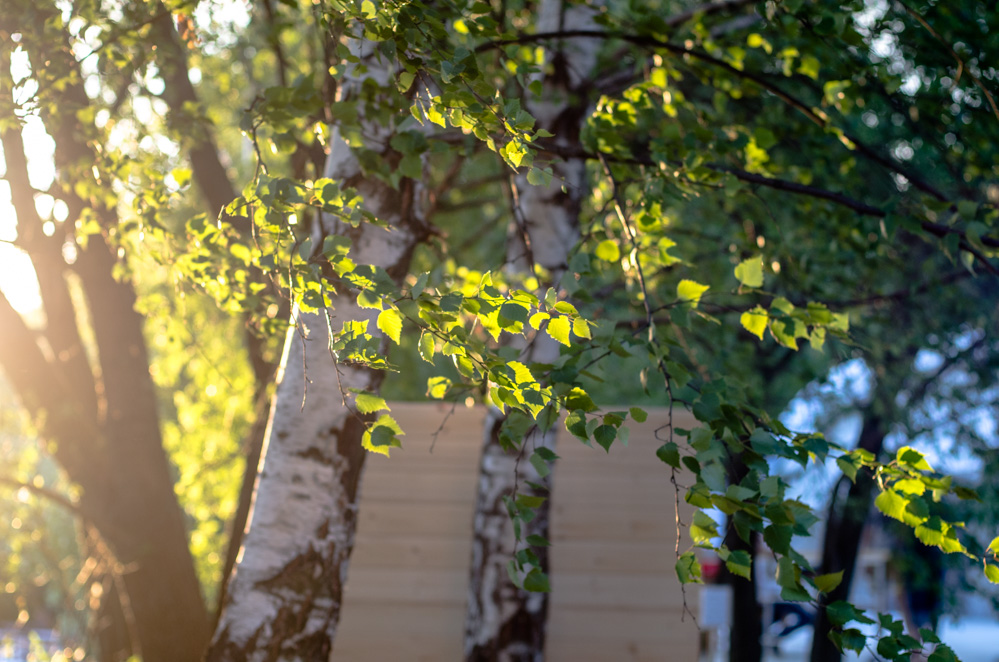 mystic sound records