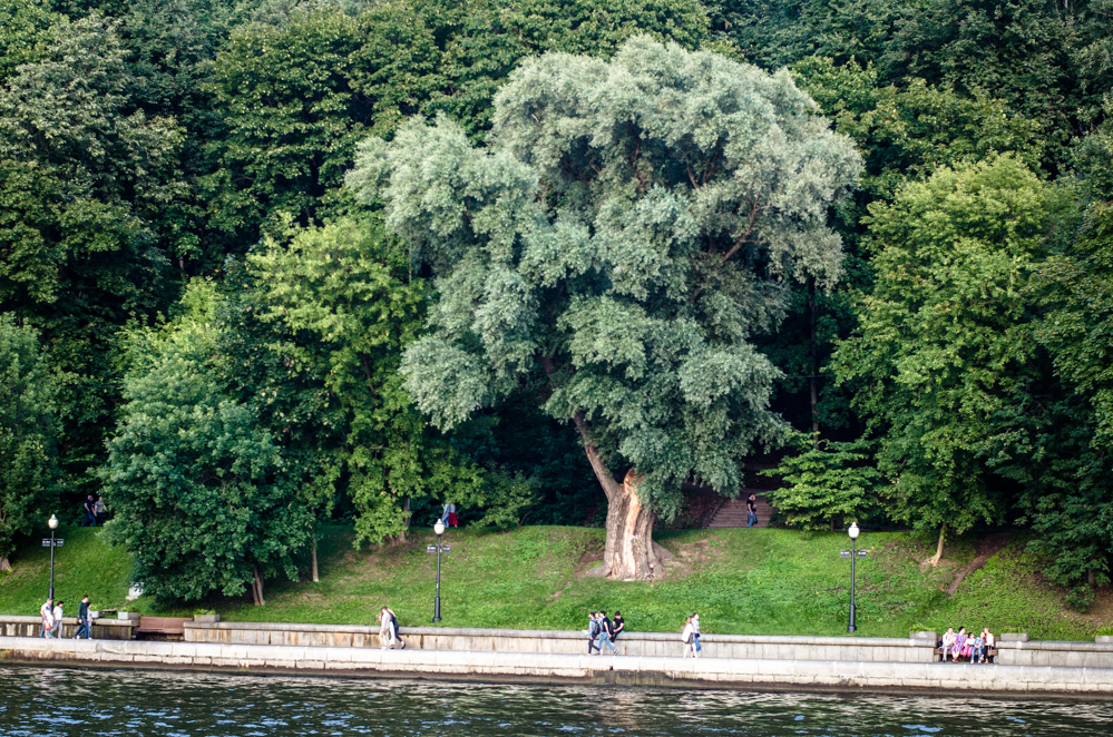 Воробьёвы горы