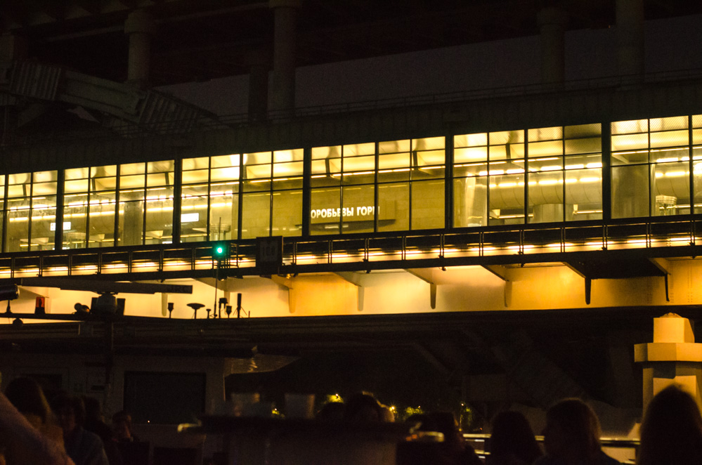 Лужнецкий метромост