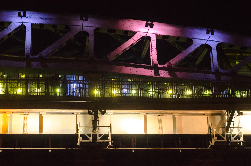 Пушкинский мост