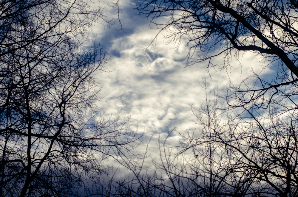 строгинский затон