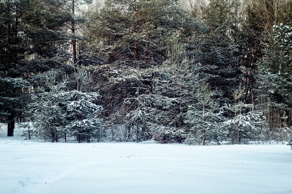 строгинский затон