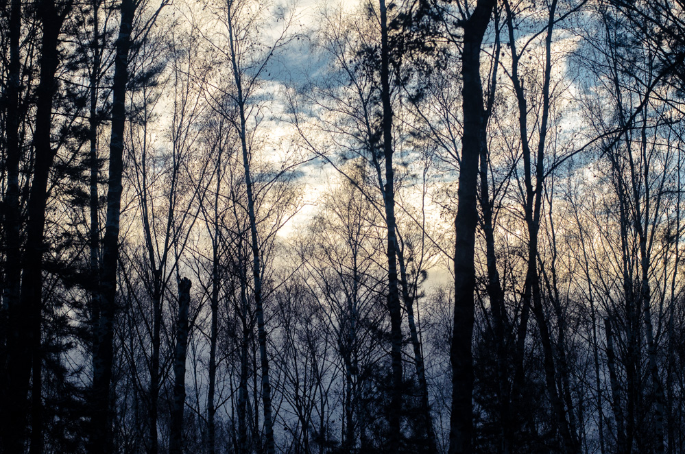 природа москвы