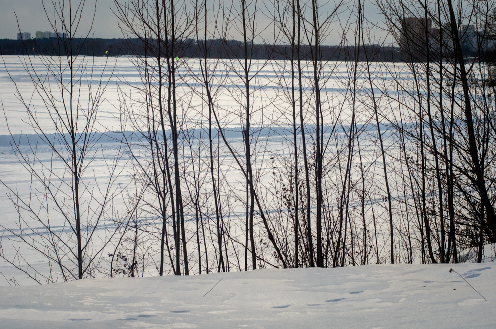 Тро́ице-Лыковская пойма