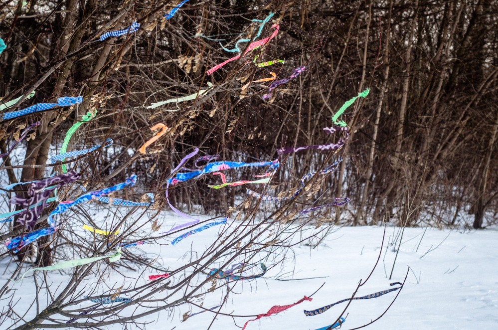 щукинский полуостров