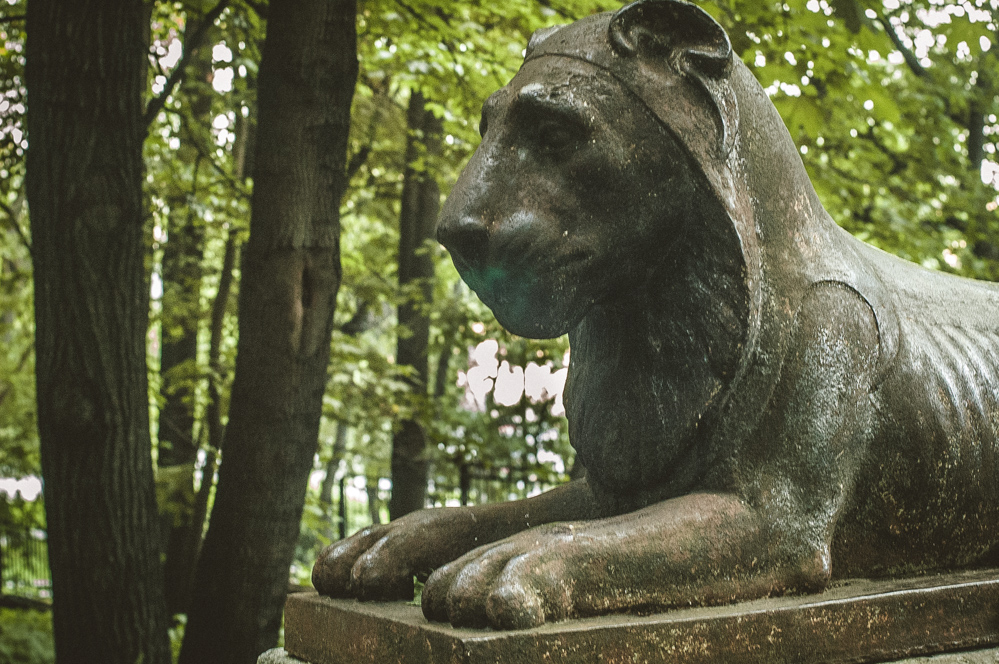 московский научно практический центр медицинской реабилитации