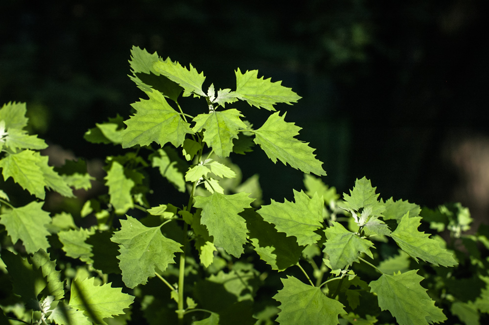 москва научно практический центр медицинской реабилитации