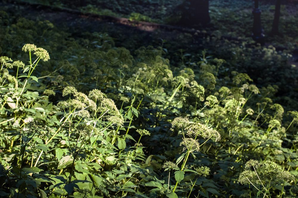 усадьба усачевых найденовых ул земляной вал
