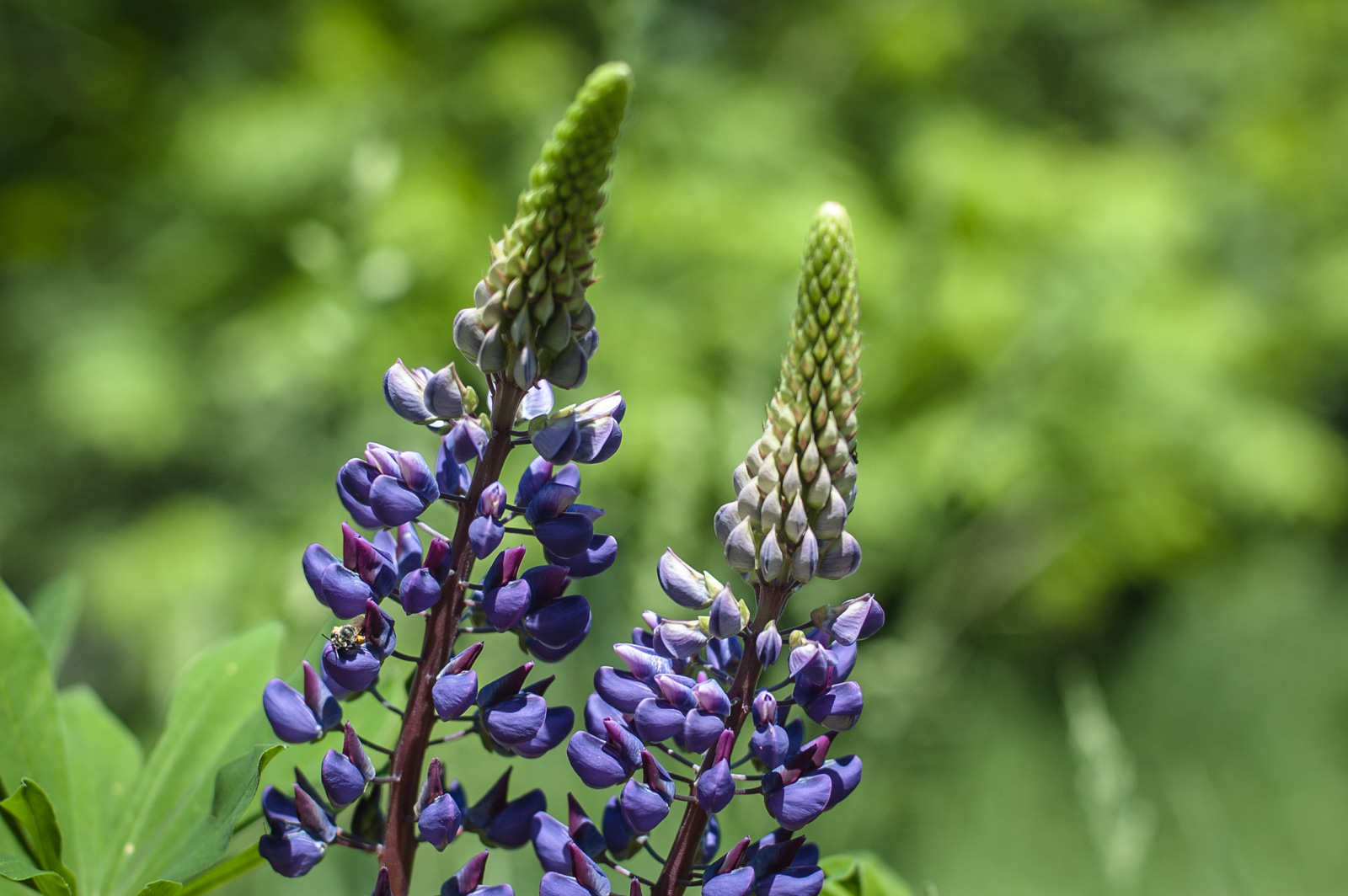 парк строгино