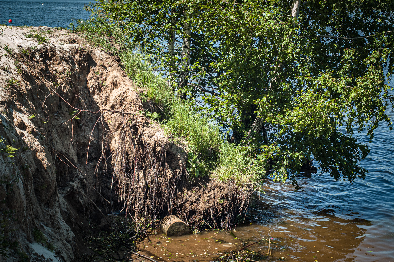 аллея жизни строгино