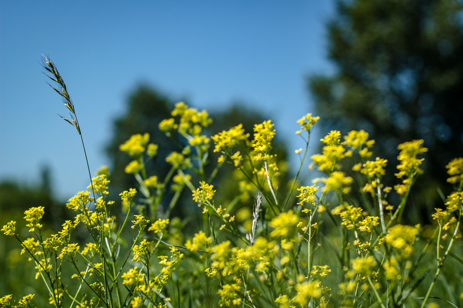 парк москворецкий москва