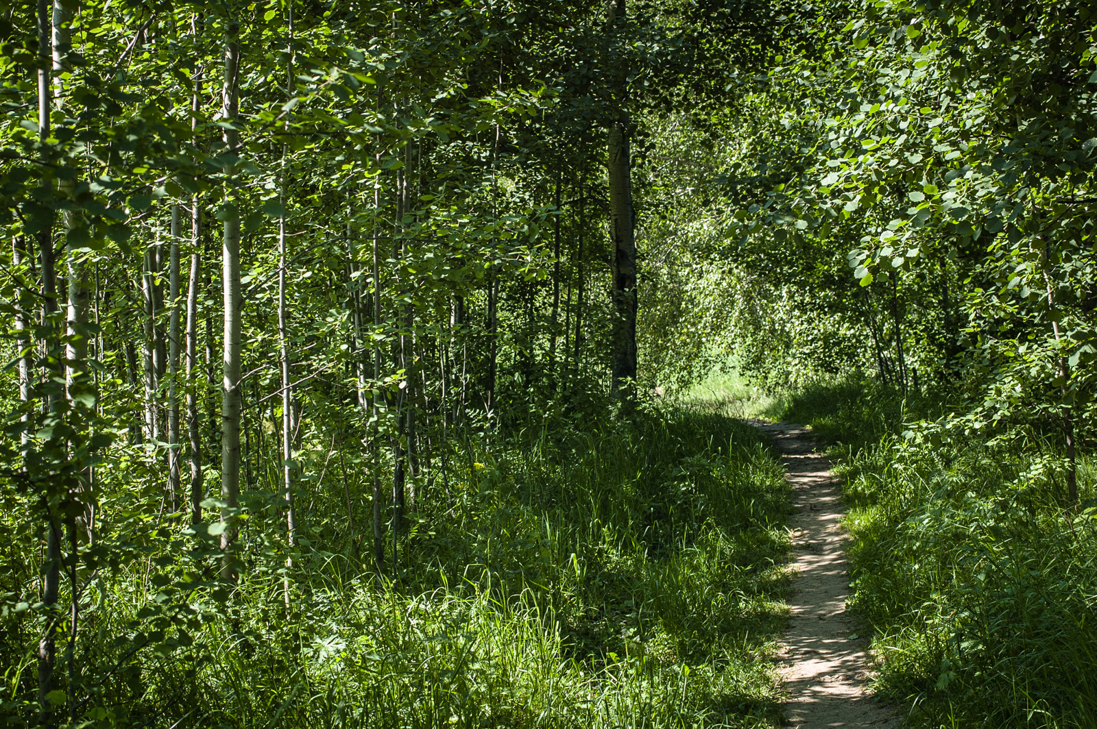 природный исторический парк москворецкий москва