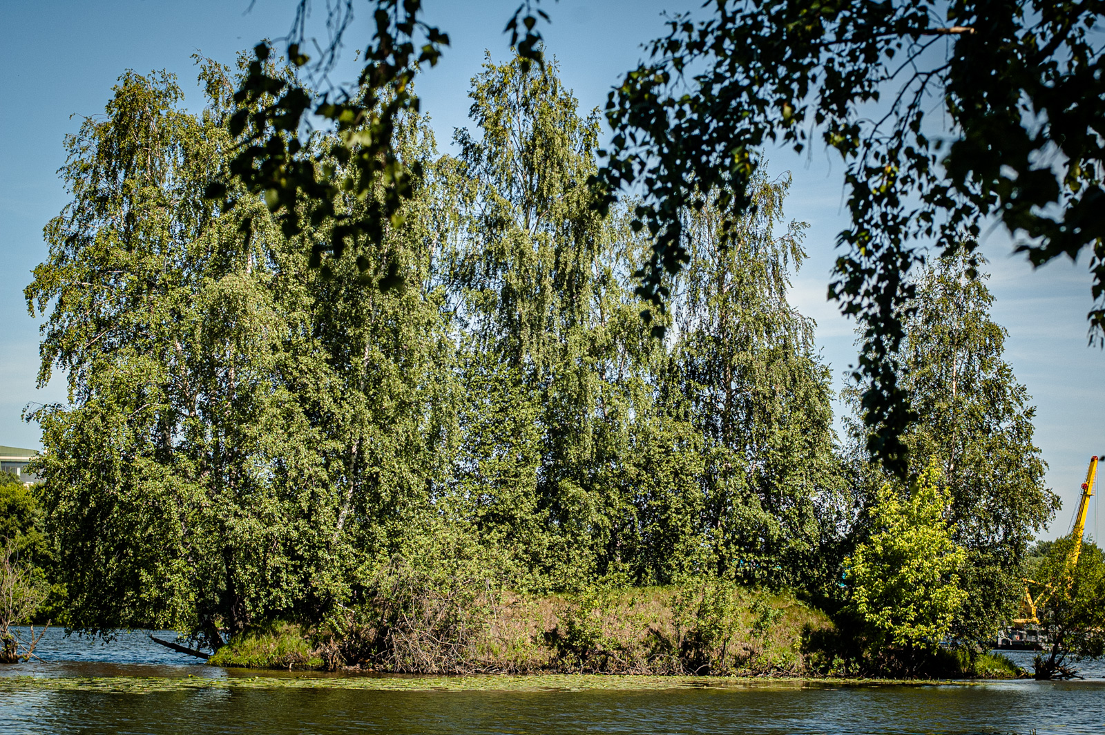 москворецкий парк москва фото