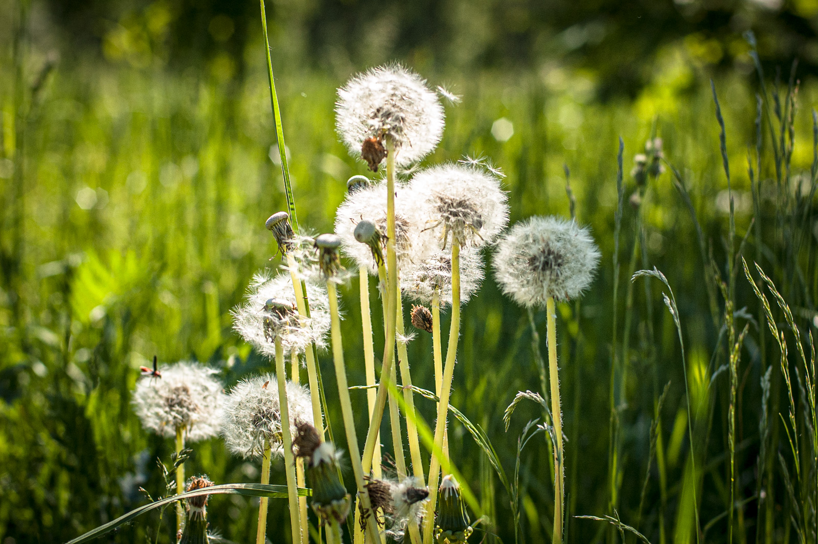 москворецкий парк где