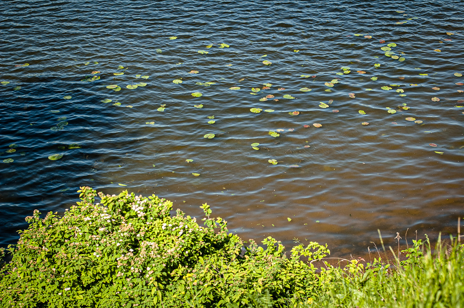парк москворецкий где находится
