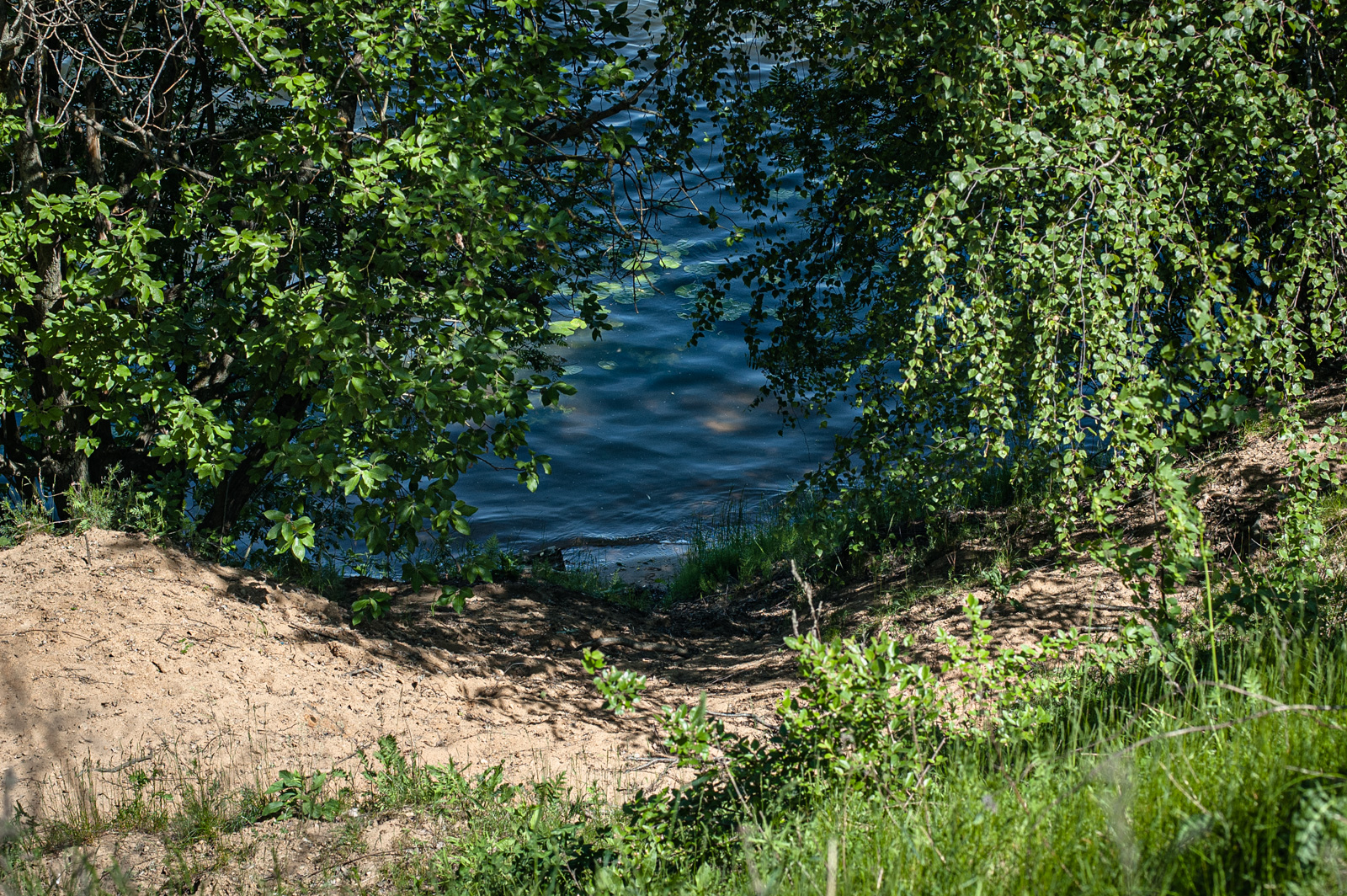 спортивно прогулочный парк в строгино