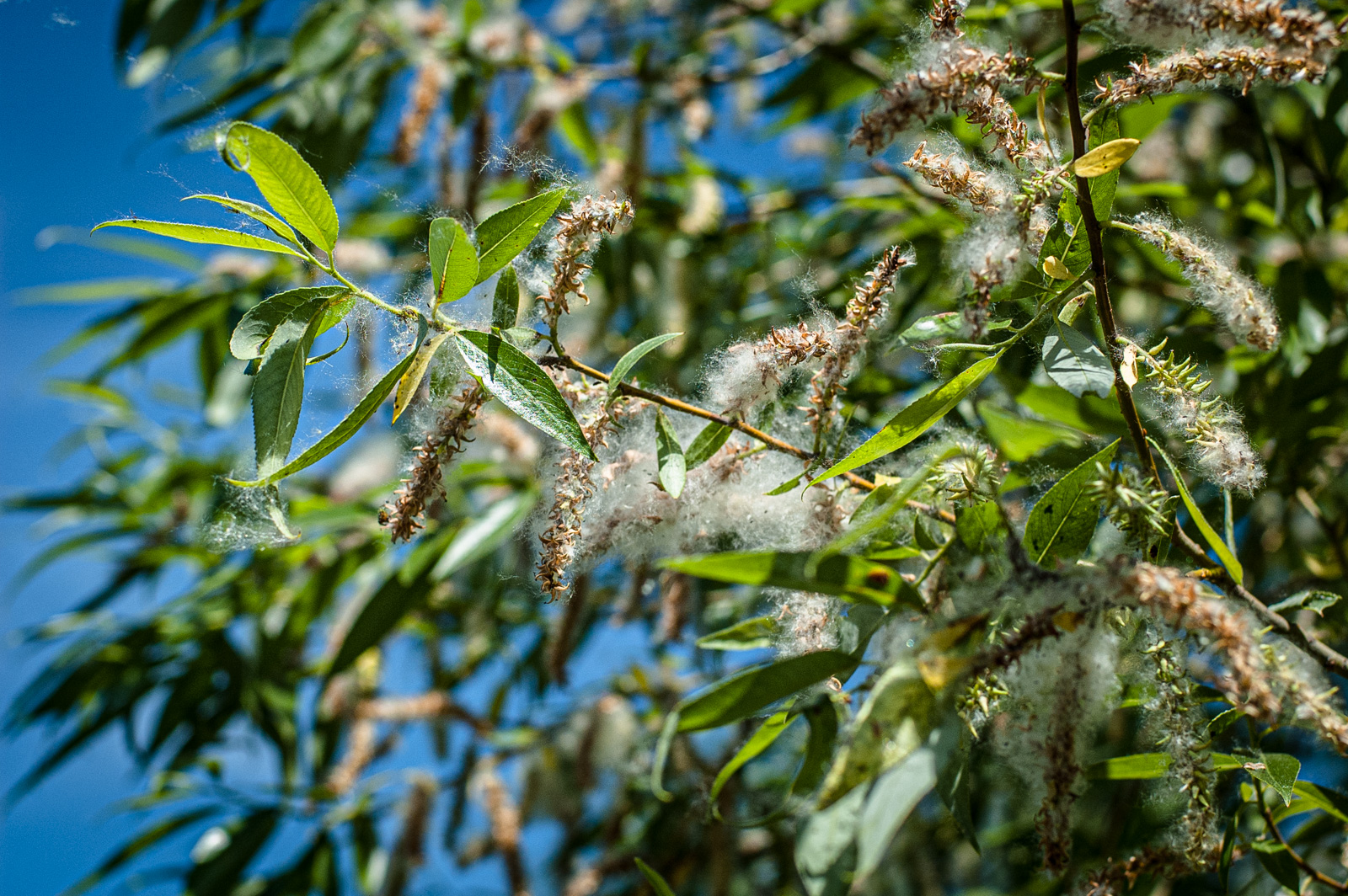 парк москворецкий строгино