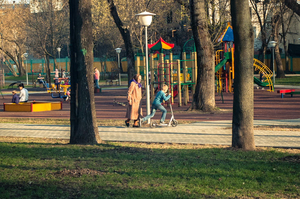 парк липки фото