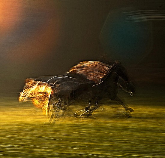 air-horses16.jpg