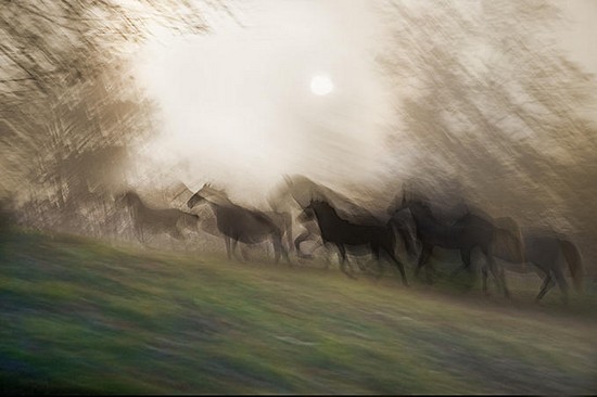 air-horses27.jpg