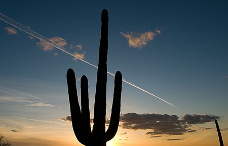 uncensored-nature03.jpg