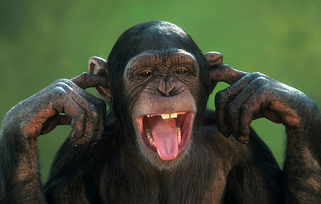 uncensored-nature07.jpg