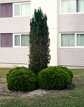 uncensored-nature09.jpg