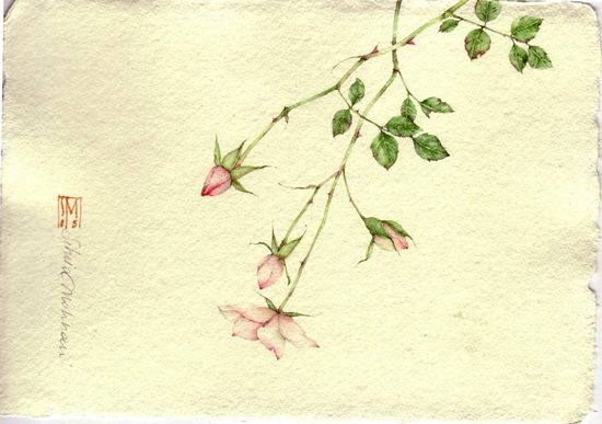 watercolors05.jpg