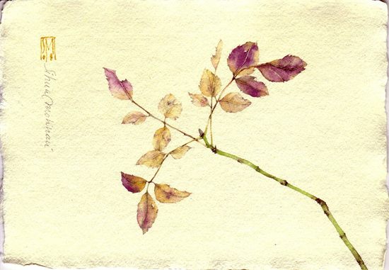 watercolors06.jpg