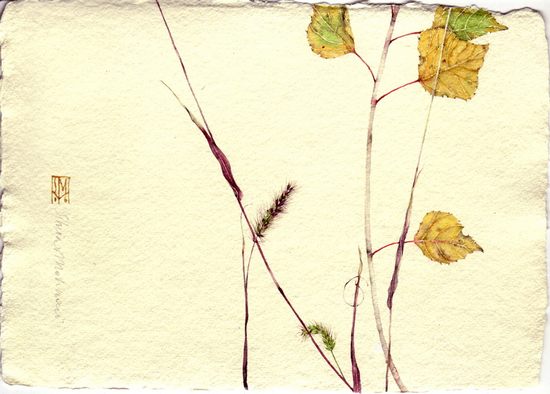 watercolors07.jpg