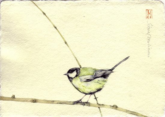 watercolors11.jpg